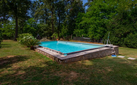 Elena: Piscina, Sombra, Jardín, Ocio, Patio Interior, Paisajismo, Parque, Fuente De Agua, Eco Hotel, Recurso