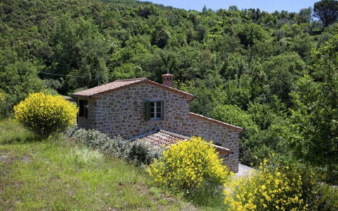Villa Sole: Planta, Cielo, Flor, Paisaje Natural, El Terreno Del Lote, Árbol, Casa, Hierba, Cabaña, Paisaje