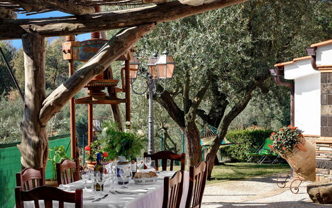 La Villa Dell'olio: Mesa, Vajilla, Mueble, Planta, Silla, Manteles, Edificio, Decoración, Árbol, Diseño De Interiores