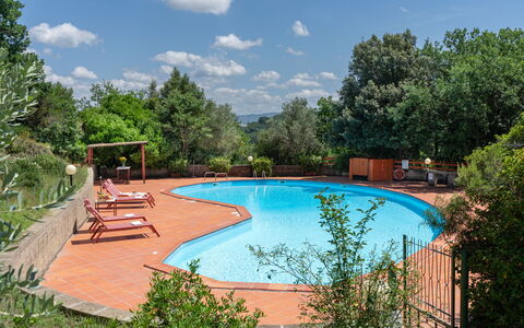 Villa Laura: Agua, Planta, Cielo, Nube, Piscina, Árbol, Mueble Para Exteriores, Sombra, Silla, Paisaje Natural