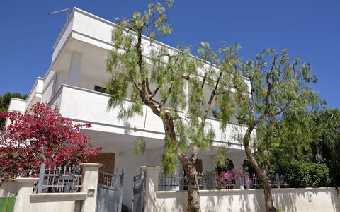Villa Marlene: Cielo, Planta, Edificio, Tiempo De Día, Propiedad, Ventana, Árbol, Casa, Barrio, Diseño Urbano