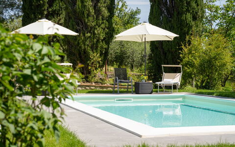 Villa Luana: Agua, Planta, Propiedad, Piscina, Sombra, Paraguas, Árbol, Mueble Para Exteriores, Rectángulo, Hierba