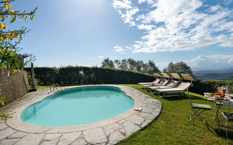Villa Elisa: Piscina, Mueble Para Exteriores, Recurso, Eco Hotel, Césped, Paisajismo, Sombra, Yarda, Patio Interior, Villa