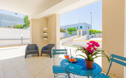 Case Pantanagianni: Flor, Planta, Mueble, Propiedad, Edificio, Maceta, Planta De Casa, Mesa, Silla, Azul