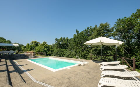 Grezzano Villa: Cielo, Árbol, Piscina, Sombra, Mueble Para Exteriores, El Terreno Del Lote, Arecales, Hierba, Ocio, Paisaje