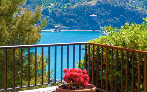 Marlà - Levanto: Agua, Planta, Propiedad, Flor, Cerca, Edificio, Azur, Árbol, Casa, Cielo