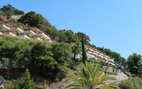 Ventimiglia 633: Cielo, Edificio, Planta, Planta De La Comunidad, Árbol, Vegetación, Arecales, Casa, Paisaje Natural, Barrio