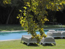 Suite Palladio In La Barchessa Di Villa Pisani