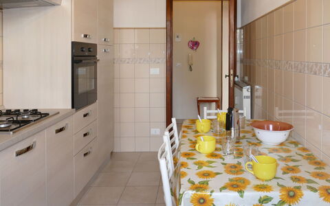 Angelo: Propiedad, Gabinetes, Mueble, Edificio, Puerta, Vajilla, Drinkware, Mostrador, Stemware, Suelo