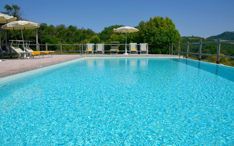Villa Guardistallo: Agua, Cielo, Propiedad, Piscina, Azur, Cuerpo De Agua, Árbol, Ocio, Agua, Planta