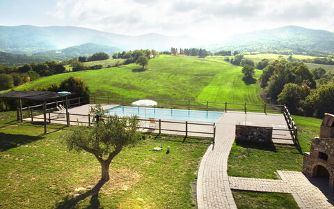 Villa Guardistallo: Nube, Planta, Cielo, Propiedad, Montaña, Paisaje Natural, Árbol, Hierba, El Terreno Del Lote, Biome