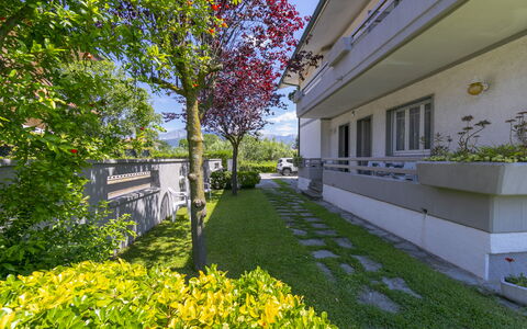 Pontremoli Apartments: Planta, Tiempo De Día, Cielo, Edificio, Botánica, Naturaleza, Árbol, Amarillo, Flor, Vegetación