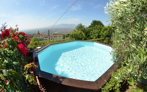 Alla Collina Del Sole: Agua, Cielo, Flor, Piscina, Nube, Naturaleza, Planta, Rectángulo, Sombra, Mueble Para Exteriores