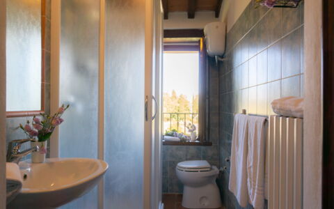 Villa Lugnano: Edificio, Propiedad, Arreglo De Tubería, Lavabo, Planta, Púrpura, Baño, Espejo, Diseño De Interiores, Madera
