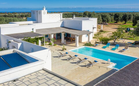 Masseria Tufo Bianco: Edificio, Cielo, Propiedad, Piscina, Agua, Azur, Árbol, Mueble Para Exteriores, Sombra, Arquitectura