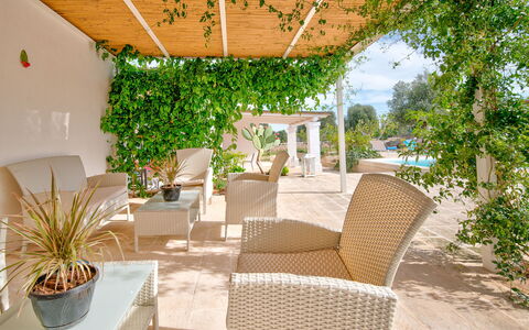 Masseria Tufo Bianco: Planta, Mueble, Mesa, Silla, Planta De Casa, Mueble Para Exteriores, Sombra, Maceta, Árbol, Arecales