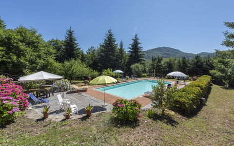 Villa Rosata: Planta, Agua, Flor, Paraguas, Planta De La Comunidad, Piscina, Cielo, Árbol, Mueble Para Exteriores, Paisaje Natural