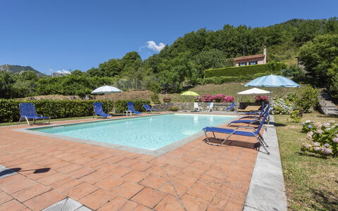 Villa Rosata: Agua, Planta, Cielo, Mueble, Silla, Edificio, Piscina, Paraguas, Árbol, Mueble Para Exteriores