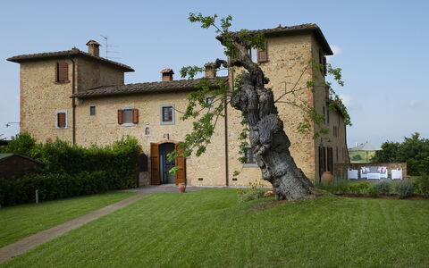 Villa Pianora: Cielo, Planta, Propiedad, Edificio, Ventana, Árbol, El Terreno Del Lote, Hierba, Casa, Fachada