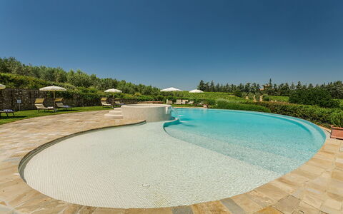 Sole Del Chianti: Agua, Cielo, Piscina, Planta, Azur, Árbol, Ocio, Material Compuesto, Paisaje, Sombra