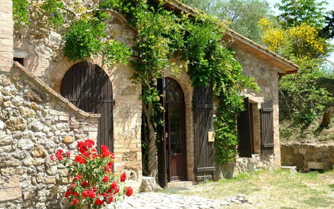 Tenuta Le Sodole: Planta, Flor, Edificio, Ventana, Puerta, Árbol, Hierba, Arbusto, Área Rural, Paisaje
