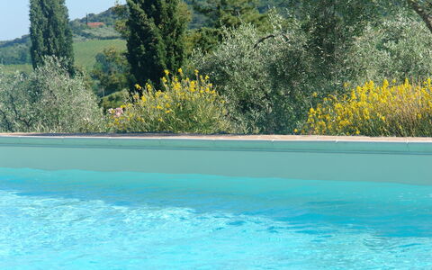 Tenuta Le Sodole: Agua, Cielo, Planta, Propiedad, Piscina, Planta De La Comunidad, Árbol, Naturaleza, Azur, Paisaje Natural