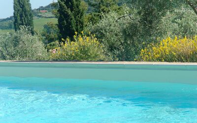 Tenuta Le Sodole: Agua, Cielo, Planta, Propiedad, Piscina, Planta De La Comunidad, Árbol, Naturaleza, Azur, Paisaje Natural
