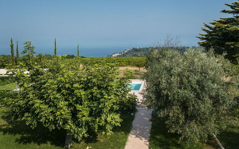Villa Degli Aranci: Cielo, Planta, Planta De La Comunidad, Paisaje Natural, Vegetación, El Terreno Del Lote, Hierba, Biome, Arbusto, Agricultura