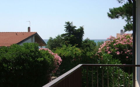 Casa Argentario: Planta, Edificio, Cielo, Propiedad, Flor, Madera, Árbol, Casa, Barrio Residencial, Bienes Raíces