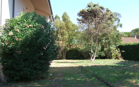 Casa Argentario: Planta, Propiedad, Cielo, Árbol, El Terreno Del Lote, Superficie De La Carretera, Sombra, Hierba, Cobertura Del Suelo, Paisaje Natural