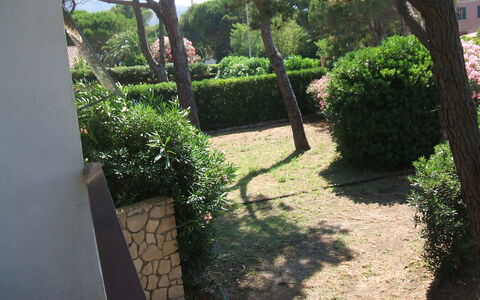 Casa Argentario: Planta, Propiedad, Hoja, Botánica, Naturaleza, Árbol, Vegetación, Sombra, El Terreno Del Lote, Superficie De La Carretera