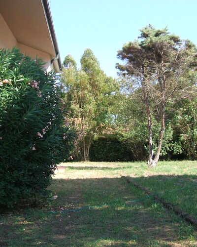 Casa Argentario: Planta, Propiedad, Cielo, Árbol, El Terreno Del Lote, Superficie De La Carretera, Sombra, Hierba, Cobertura Del Suelo, Paisaje Natural