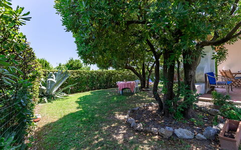 Villa Il Pesco: Planta, Propiedad, Naturaleza, Hoja, Árbol, Vegetación, Cielo, Biome, Hierba, Plantas Leñosas