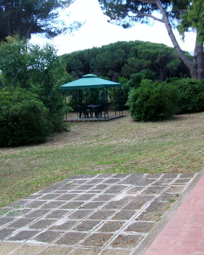 Giannella Holiday Apartment: Planta, Propiedad, Hoja, Árbol, Botánica, Sombra, Superficie De La Carretera, Vegetación, El Terreno Del Lote, Hierba
