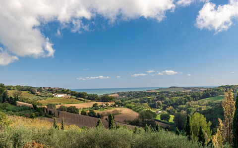 Villa Vagnini: Nube, Cielo, Planta, Azur, Paisaje Natural, Entorno Natural, Árbol, Tierras Altas, El Terreno Del Lote, Luz De Sol
