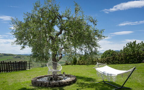 La Casa Di Campagna: Hierba, Rama, Pradera, Llanura, Jardín, El Maletero, Césped, Ramita, Plantas Leñosas, Prado