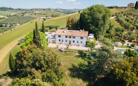 Villa La Picena: Inmuebles, Mansión, Villa, Hacienda, Comida, Piscina, Plantación, Eco Hotel, Casa De Campo