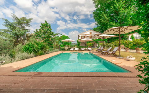 Villa La Picena: Agua, Planta, Cielo, Nube, Piscina, Árbol, Edificio, Arecales, Mueble Para Exteriores, Hierba