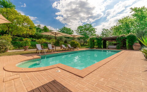 Villa La Picena: Nube, Agua, Planta, Piscina, Cielo, Árbol, Silla, Sombra, Arecales, Hierba
