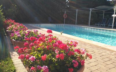 Il Casale Di Quirina: Flor, Agua, Planta, Pétalo, Maceta, Botánica, Árbol, Paisaje, Piscina, Cobertura Del Suelo