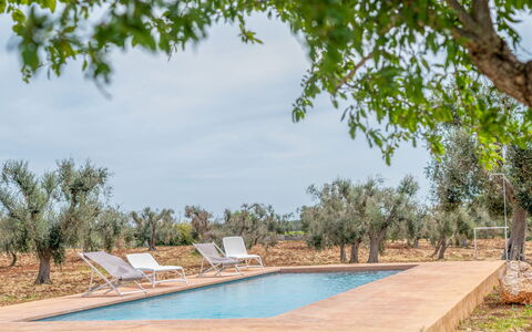 Bianco Trullo: Agua, Planta, Cielo, Piscina, Nube, Árbol, Sombra, Paisaje Natural, Silla, Barrio Residencial