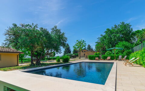 Sunrise Hill Holiday Home: Agua, Cielo, Planta, Piscina, Edificio, Árbol, Nube, Cuerpo De Agua, Arecales, Hierba