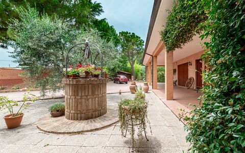 Villa Rosso Corbezzolo: Planta, Propiedad, Maceta, Edificio, Flor, Planta De Casa, Superficie De La Carretera, Arquitectura, Barrio, Piso