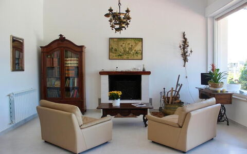 Tre Donne: Planta, Marco, Mueble, Sofá, Planta De Casa, Ventana, Madera, Diseño De Interiores, Maceta, Suelo