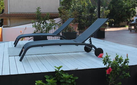 Tre Donne: Planta, Mueble Para Exteriores, Sombra, Flor, Madera, Diseño Urbano, Ocio, Árbol, Techo