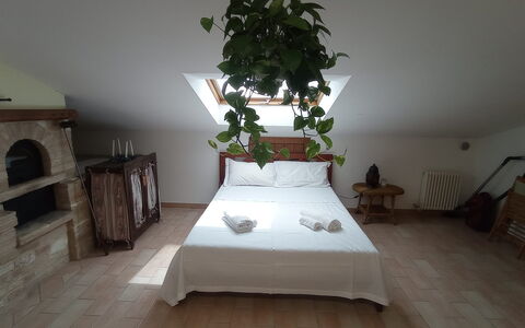 L'attico Di Castelfidardo: Planta, Mueble, Flor, Edificio, Comodidad, Madera, Planta De Casa, Diseño De Interiores, Suelo, Casa