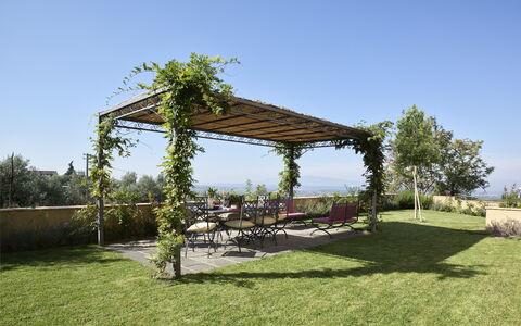 Casa Lionardo: El Terreno Del Lote, Jardín, Sombra, Mueble Para Exteriores, Cobertura Del Suelo, Pérgola, Estructura Al Aire Libre, Paisajismo, Maceta
