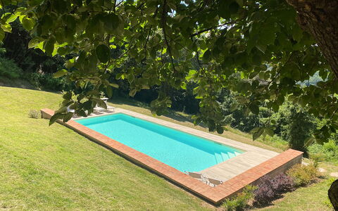 San Tommaso: Planta, Piscina, Agua, Rectángulo, Sombra, Hierba, Ocio, Arbusto, Paisaje, Cobertura Del Suelo