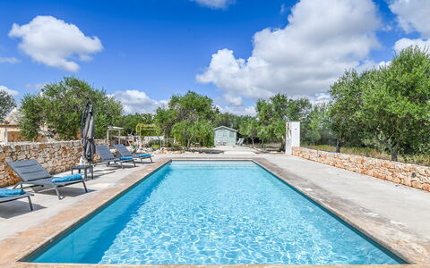 Trullo Ulivo: Agua, Nube, Cielo, Planta, Propiedad, Azul, Piscina, Árbol, Azur, Cuerpo De Agua
