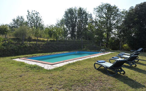 Villa Antelminelli: Planta, Cielo, Piscina, Árbol, Sombra, Mueble Para Exteriores, Banco Al Aire Libre, Rectángulo, Ocio, Hierba